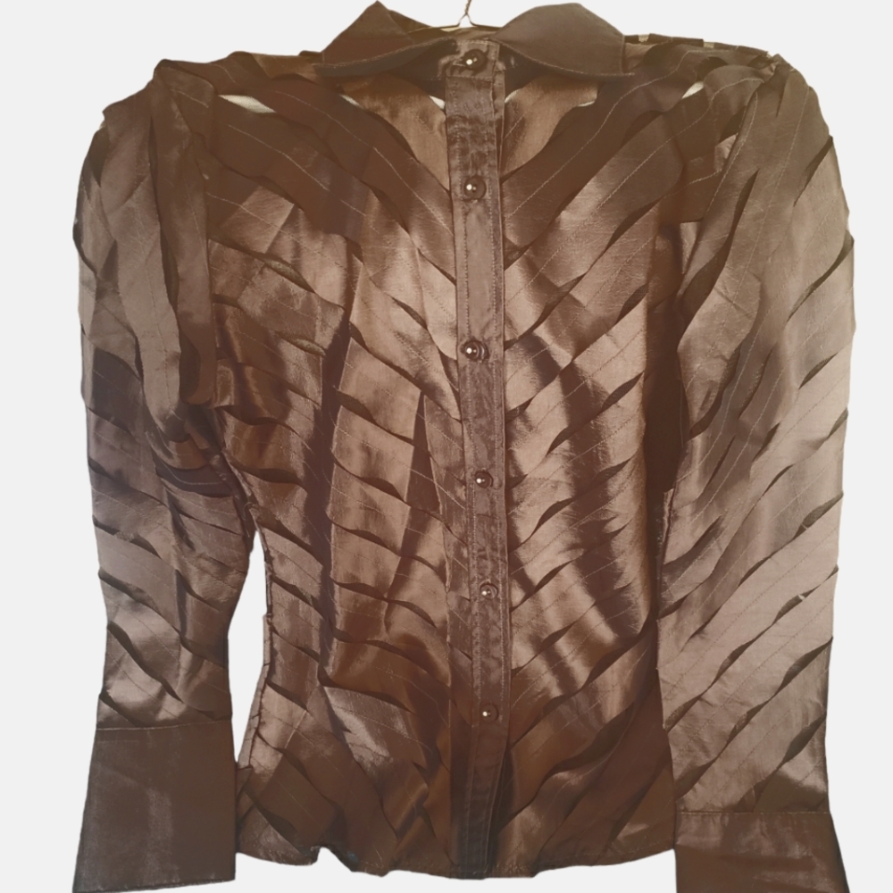 NWT Beautiful Blouse